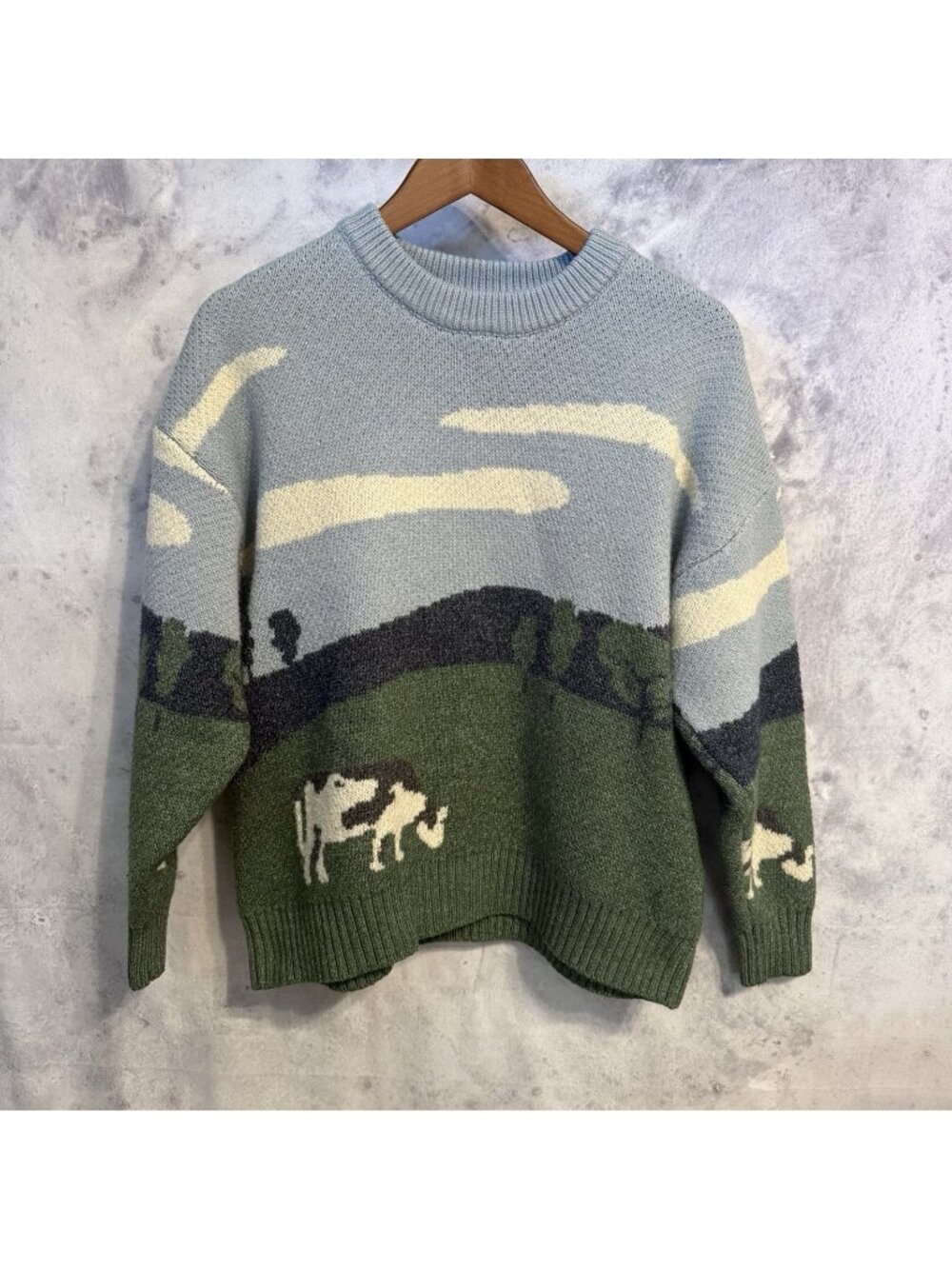 Aelfric Eden Sweater Size Medium M Cow Farm Landscape
